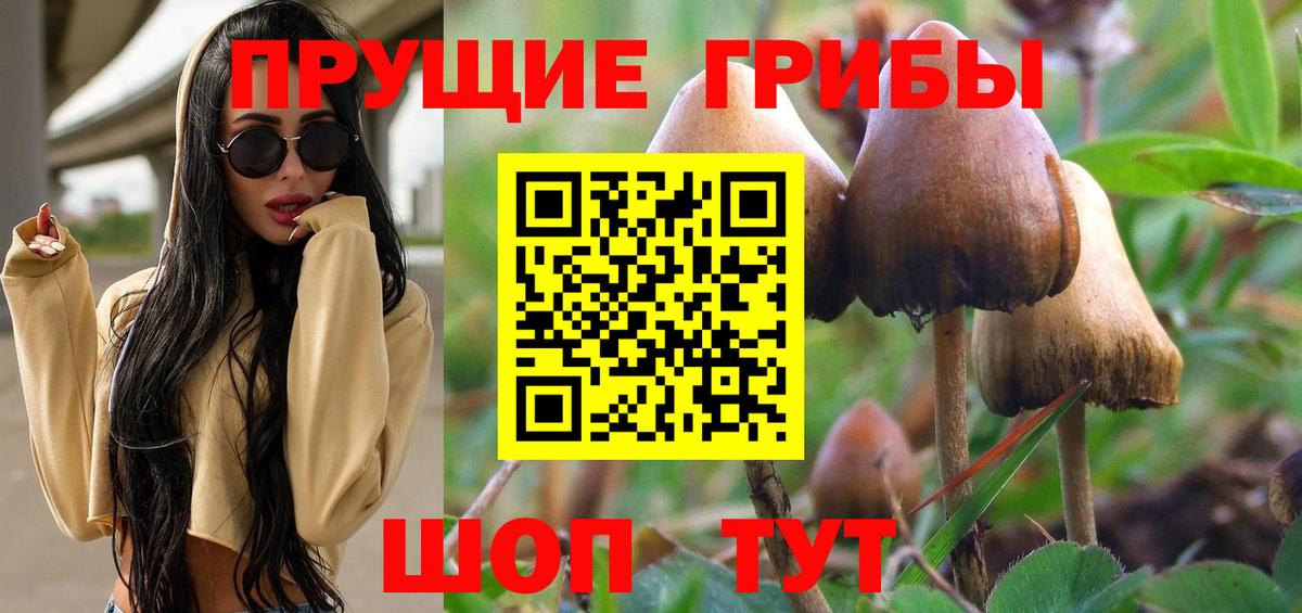 Ухта  Галлюциногенные грибы мицелий  Псилоцибиновые грибы мицелий  Вход с VPN 